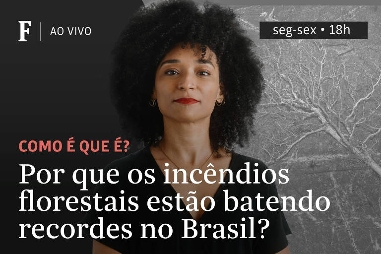 Priscila Camazano, uma mulher negra com blackpower está séria. À esquerda, o tema do programa: "Por que os incêndios estão batendo recordes no Brasil?". Ao fundo, uma foto horizontal de uma árvore ao chão, queimada