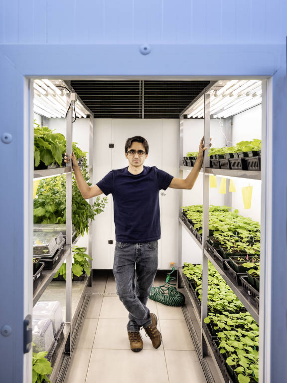 Um homem está posando em uma estufa, com prateleiras cheias de plantas ao seu redor. Ele está de pé entre duas fileiras de prateleiras, segurando-as com as mãos. O homem usa uma camiseta escura e calças jeans e está olhando diretamente para a câmera. A estufa é bem iluminada, com luzes fluorescentes no teto e várias plantas em vasos e bandejas ao seu redor.
