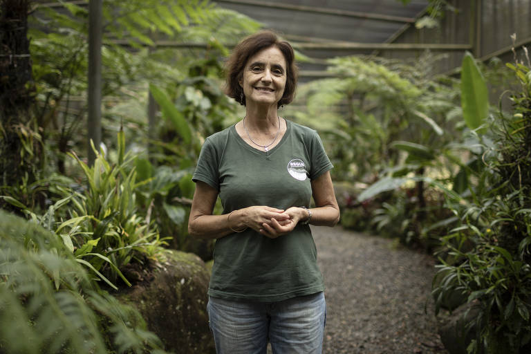 Raquel Locke, vice-presidente da ONG