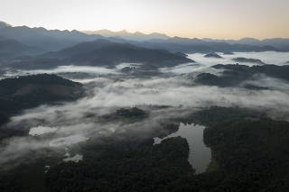 RESERVA ECOLÓGICA DE GUAPIAÇU (REGUA) - CAUSA DO ANO