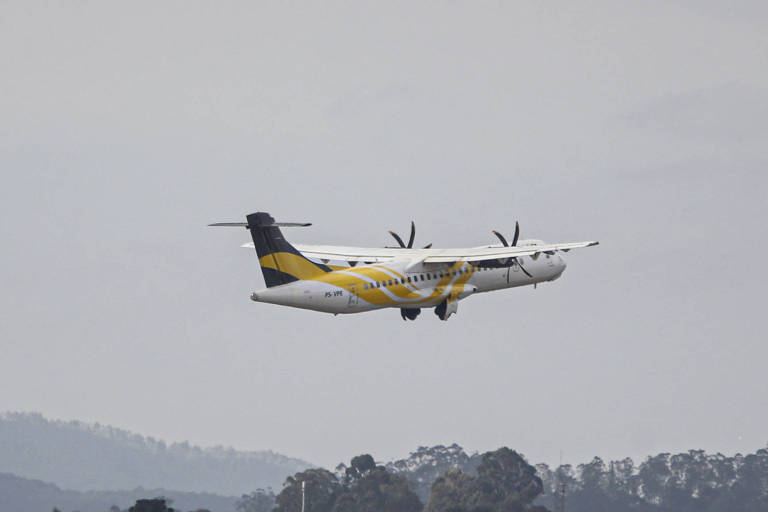 O avião é branco, com desenhos nas cores amarelo e azul, possui duas hélices, uma em casa asa; é possível ver copas de árvores abaixo dele e um morro ao fundo