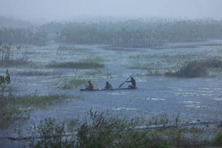 Chuva de terras indígenas da amazônia contribui em 57% da renda do agro do Brasil, aponta estudo