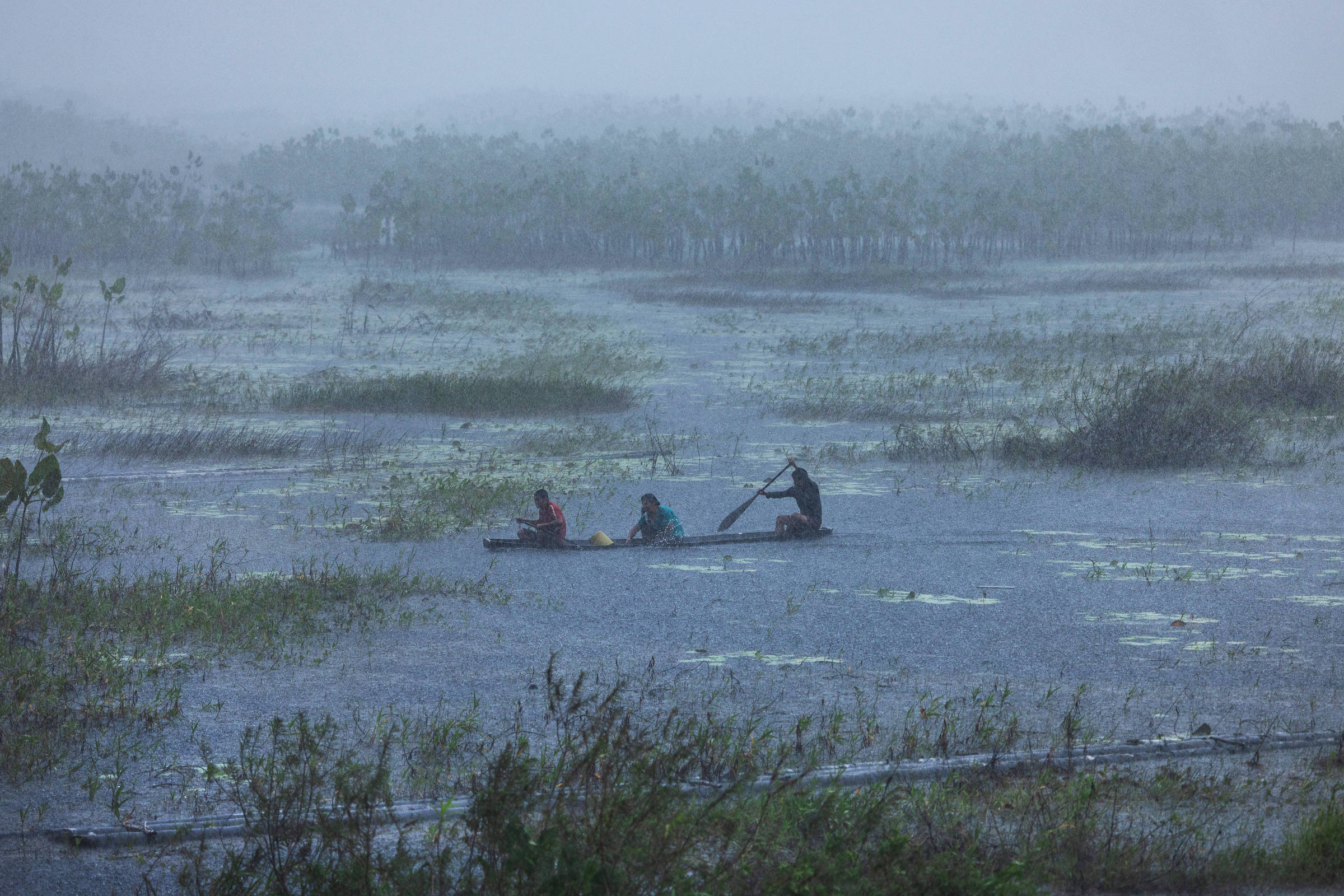 Três indígenas em uma canoa remam em local com algumas plantas no meio da água