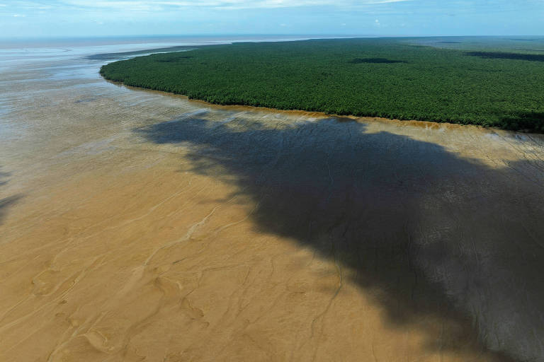 Costa de uma área verde de mangue de grandes dimensões， vista de drone