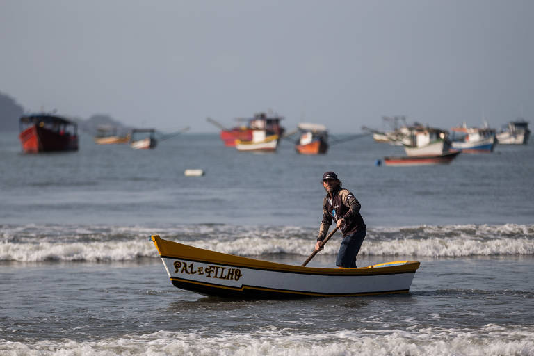 Um homem está remando em um pequeno barco de pesca na praia. O barco é branco com detalhes em amarelo e tem a palavra 'PALHINHA' escrita em preto. Ao fundo, há vários outros barcos de pesca ancorados no mar, com uma paisagem de praia e ondas suaves. O céu está claro.