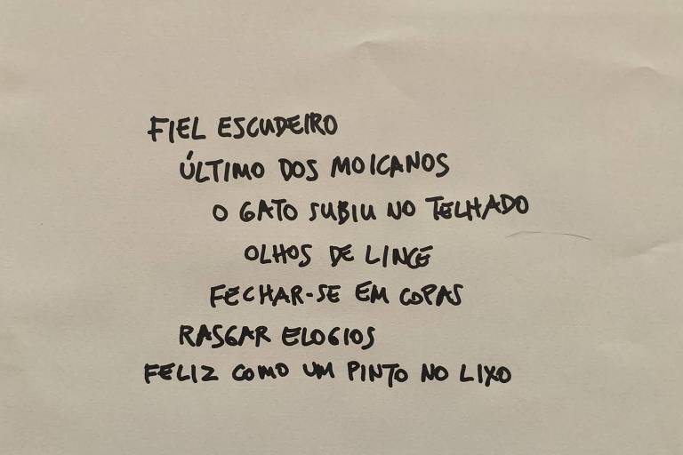 Expressões fiel escudeiro, último dos moicanos, o gato subiu no telhado, olhos de lince, fechar-se em copas, rasgar elogias, feliz como um pinto no lixo