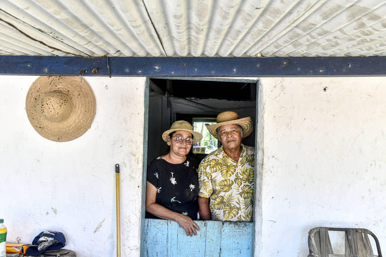 João Sebastião de Oliveira e Elizabeth Maria da Silva, que moram próximo à refinaria, na zona rual de Ipojuca (PE), dizem que pé da caju deixou de dar frutos em razão da refinaria
