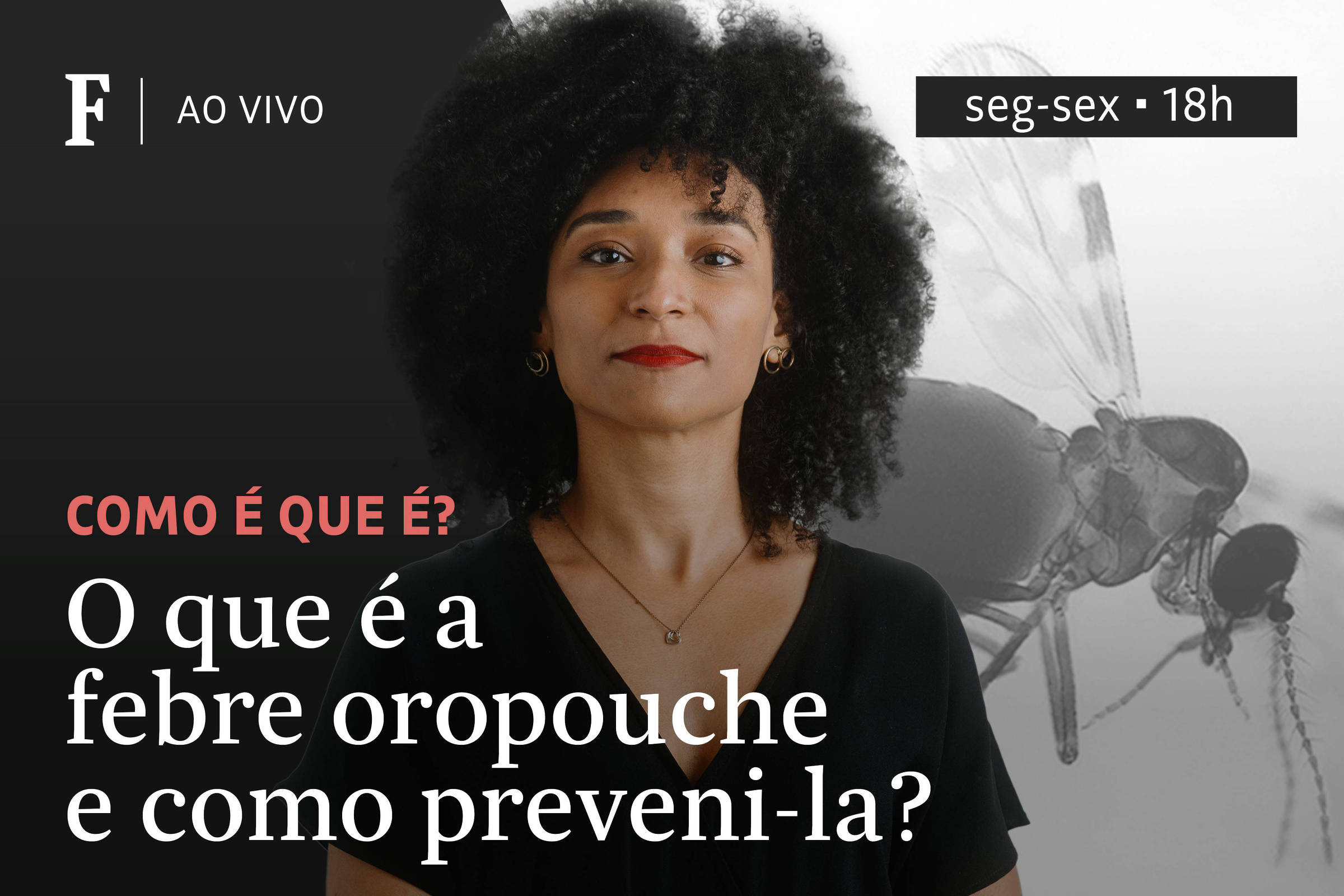 O que é a febre oropouche e como preveni-la?