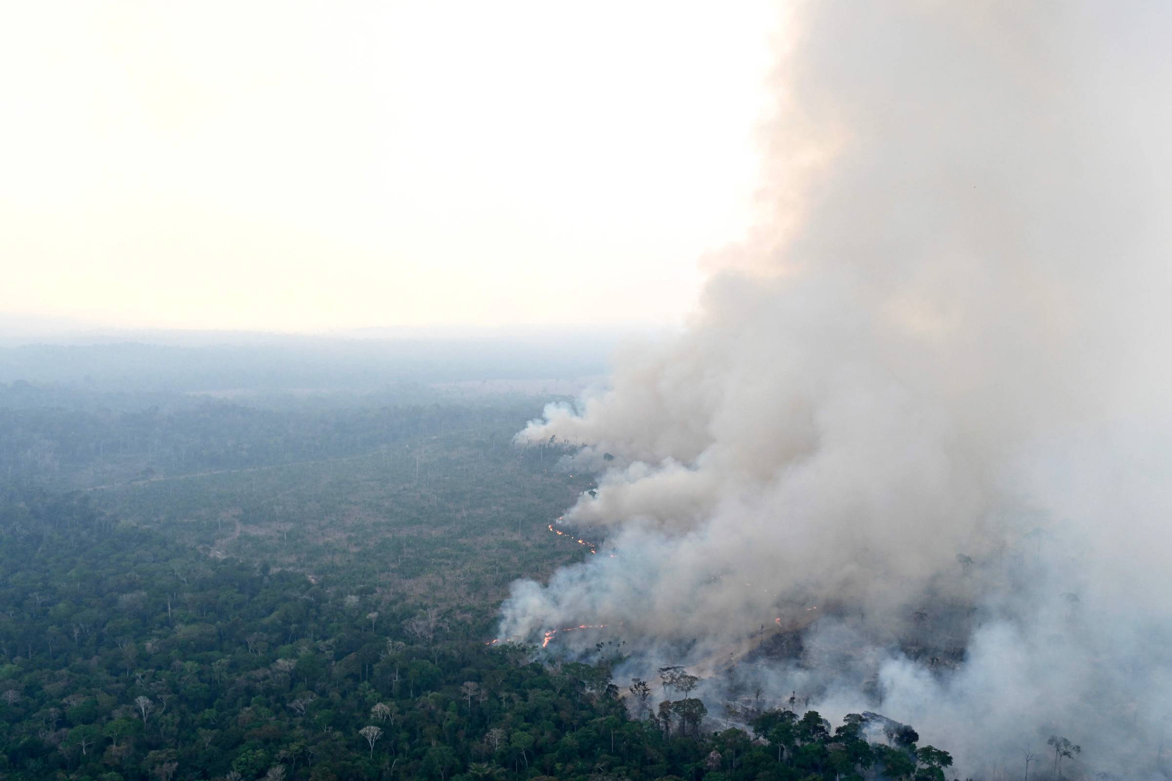 Movimento pró-Amazônia se diz preocupado com florestas e cobra mais ambição do governo Lula