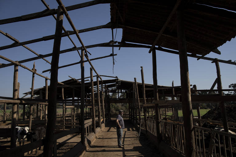 Jorge Dienstmann, 52, resolveu abandonar a criação de vacas e frangos após enchente do rio Taquari