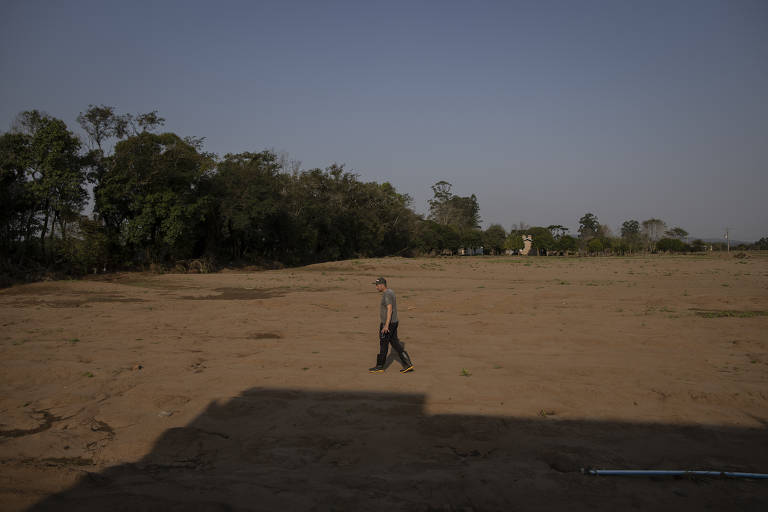Enquanto não retoma produção própria, Scheibel decidiu comprar hortaliças de outros produtores e revendê-las