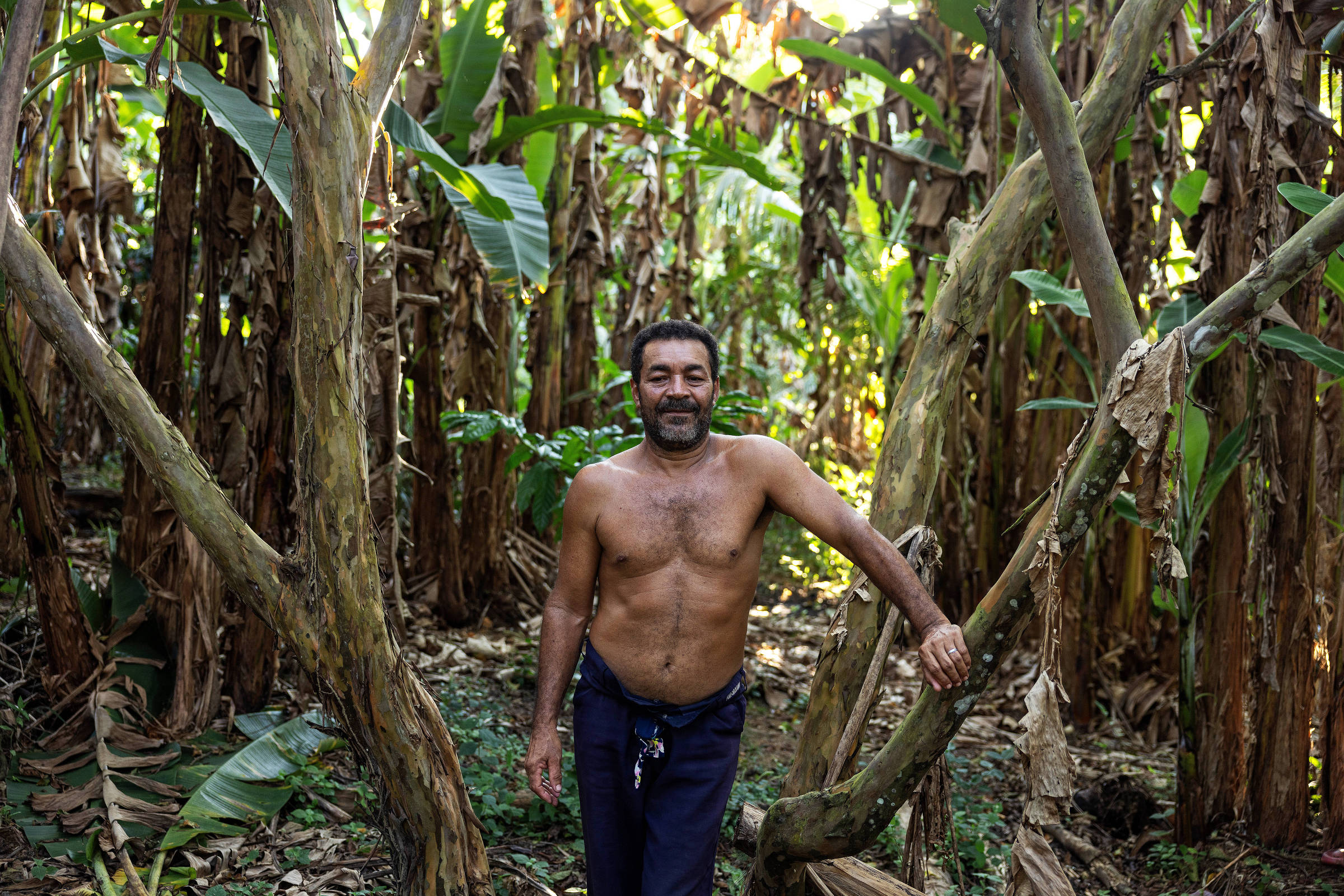 Homem sem camisa sorri em um bananal