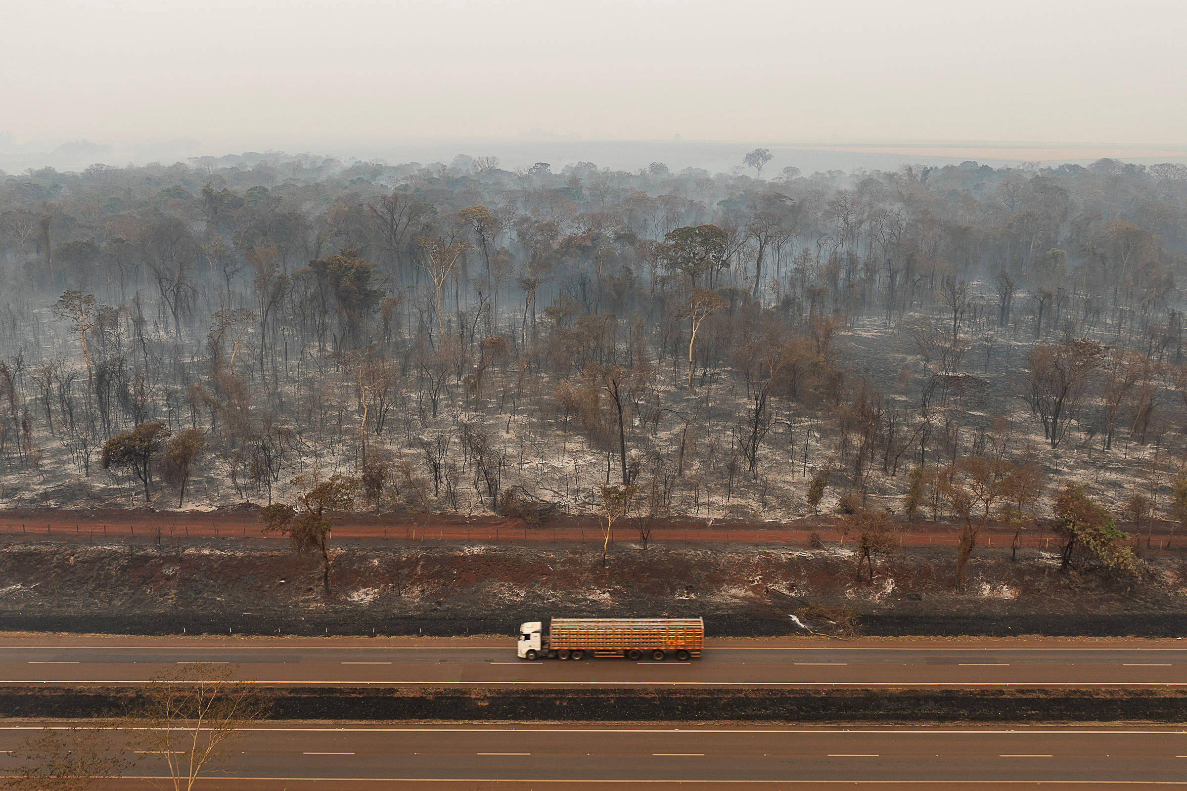 Posts sobre incêndios em SP intensificam polarização e desinformam ao culpar Lula e Bolsonaro