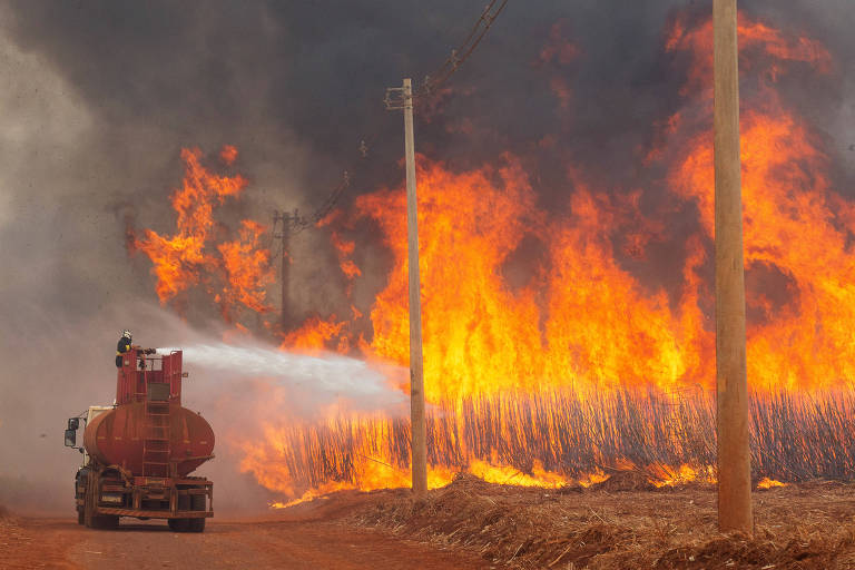 A imagem mostra um incêndio em uma área rural, com chamas altas e fumaça densa. Um caminhão de combate a incêndio está na frente, com um bombeiro utilizando uma mangueira para combater o fogo. Ao fundo, há postes de eletricidade e uma plantação de cana-de-açúcar que está sendo consumida pelas chamas.