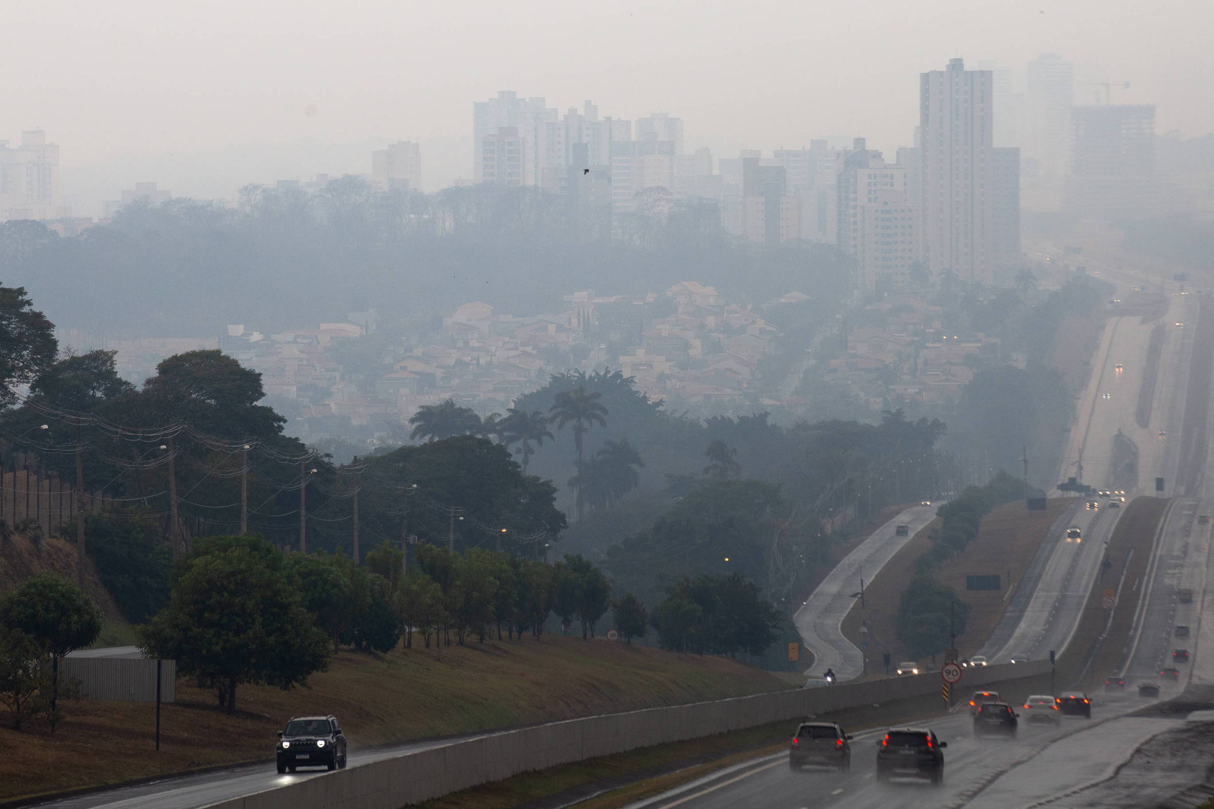 Opinião - Painel: Investigar queimadas no estado de São Paulo é questão urgente, afirma leitor