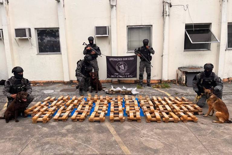 policiais posam para foto em que há tabletes de maconha organizados no centro da imagem. três policiais estão acompanhados de cães, e dois estão de pé, ao fundo da imagem, um de cada lado de uma bandeira do batalhção de operações com cães. Todos estão usando farda, colete, balaclava e capacete