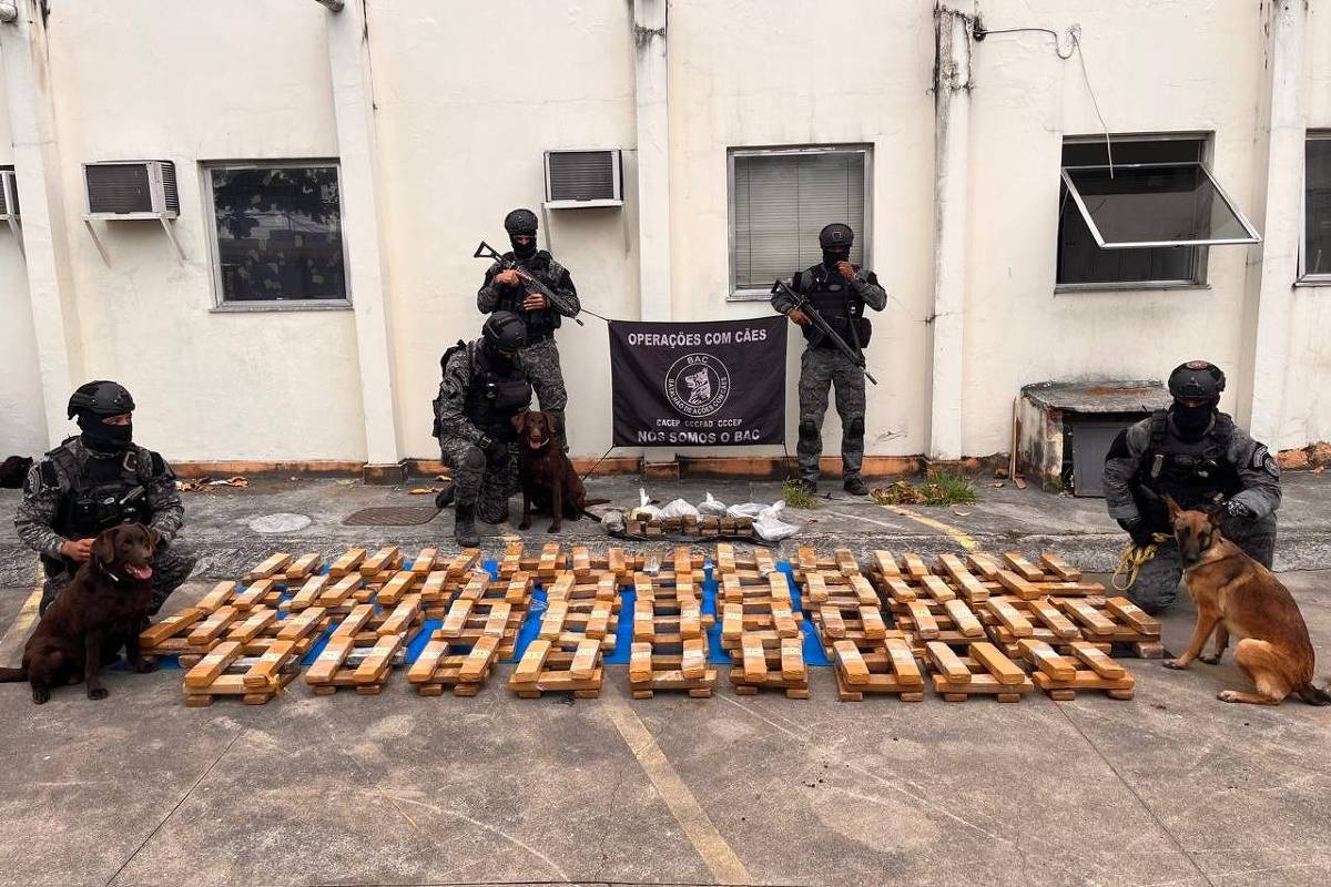 PM do Rio apreende uma tonelada de maconha em escola no Complexo da Maré