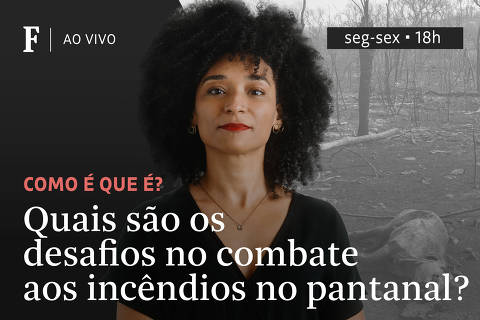 Quais são os desafios no combate aos incêndios no pantanal?