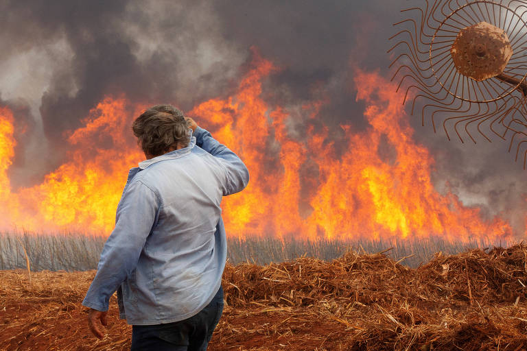 A imagem mostra uma pessoa de costas, vestindo uma camisa azul, observando um grande incêndio em um canavial. Chamas intensas e fumaça densa se elevam ao fundo, enquanto o solo está coberto por restos de vegetação seca. À direita, há um objeto que parece ser uma ferramenta agrícola.