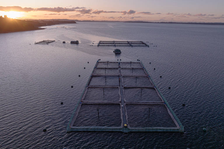 A imagem mostra uma vista aérea de tanques de aquicultura dispostos em um corpo d'água durante o amanhecer. Os tanques são retangulares e estão cercados por boias flutuantes. O céu apresenta tons de azul e laranja, indicando o início do dia, enquanto a superfície da água reflete essas cores.