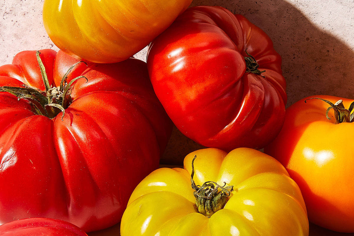 Tomates hidratam e estudos sugerem que podem ajudar a prevenir cânceres