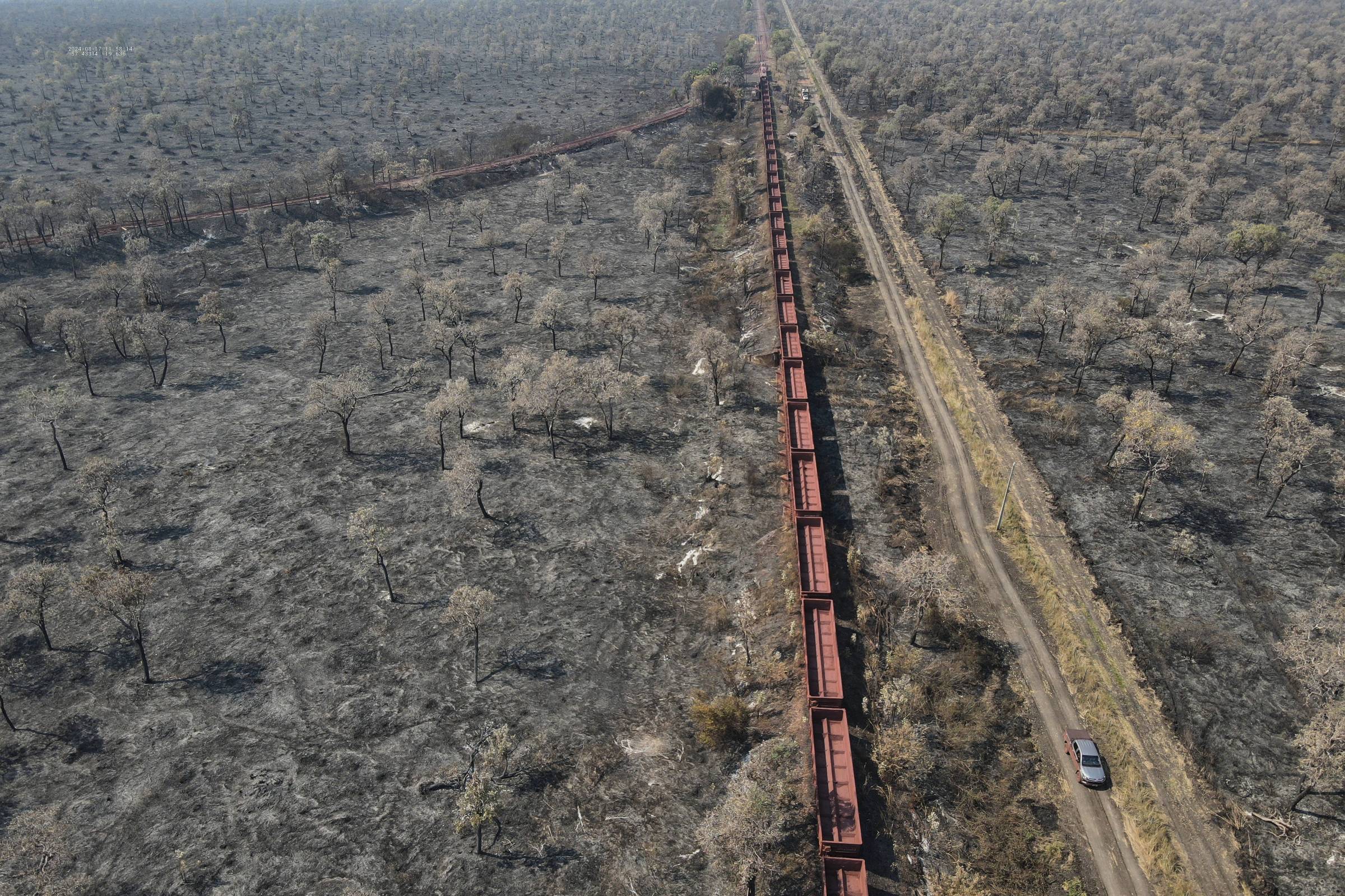 Pesquisadores apontam falhas em novos estudos sobre a Ferrogrão