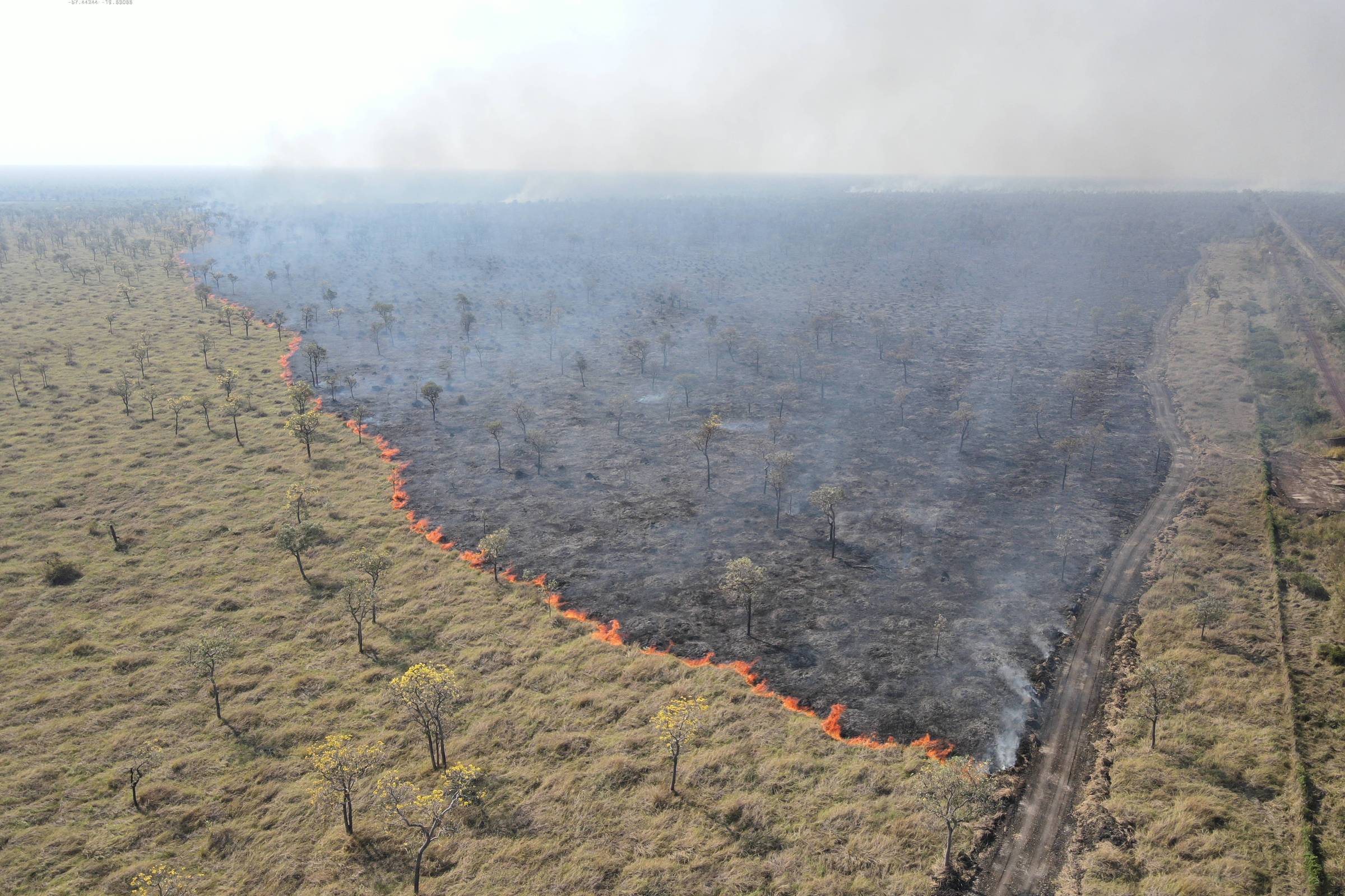 Ferrovia que causou incêndio no pantanal acumula multas ambientais