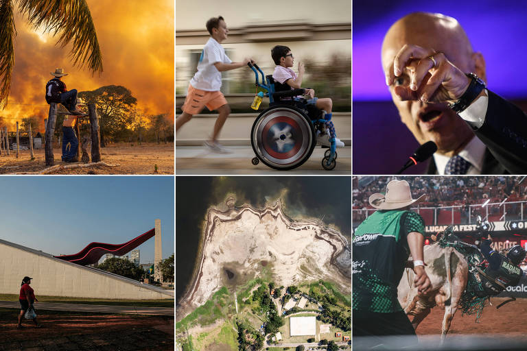 Montagem mostra seis fotografias da galeria, descritas em detalhe no resto da galeria.