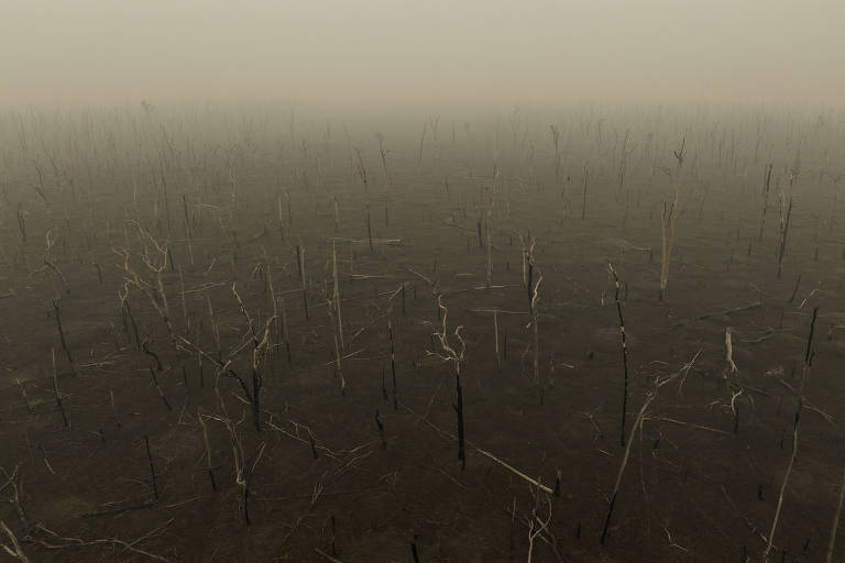 Fumaça que atormenta Porto Velho tem origem em áreas com terra arrasada e destruição contínua