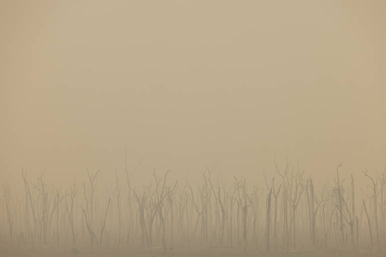 Incêndios deixam terra arrasada e destruição contínua em Rondônia