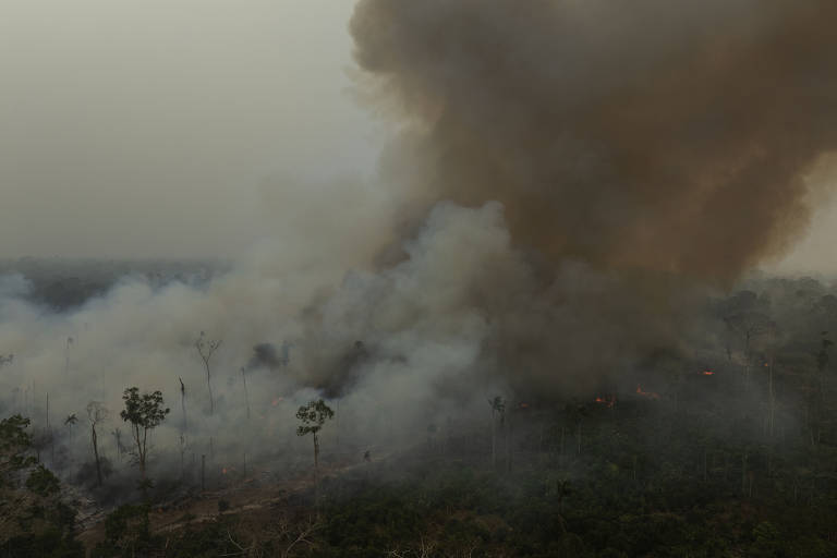 A imagem mostra uma área de floresta em chamas, com grandes nuvens de fumaça se elevando no ar. O cenário é de um incêndio florestal, onde árvores estão visivelmente queimando e a vegetação ao redor está coberta por uma densa camada de fumaça.