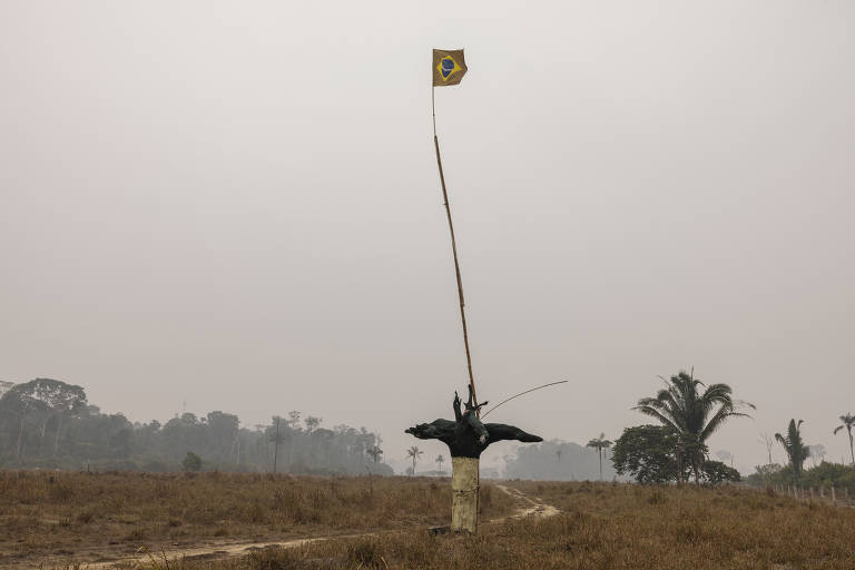 Raiz de uma árvore com a bandeira do Brasil marca a entrada de uma fazenda às margens do ramal LP45 em Vila Nova de Samuel, no municipio de Candeias do Jamari (RO)