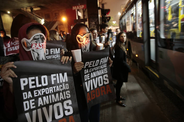 A imagem mostra um grupo de manifestantes em uma noite iluminada, segurando cartazes com a mensagem 'PELO FIM DA EXPORTAÇÃO DE ANIMAIS VIVOS AGORA'. Alguns manifestantes têm máscaras com a imagem de uma vaca. Ao fundo, um ônibus passa e há pessoas observando. O ambiente é urbano, com luzes e estruturas de uma cidade.