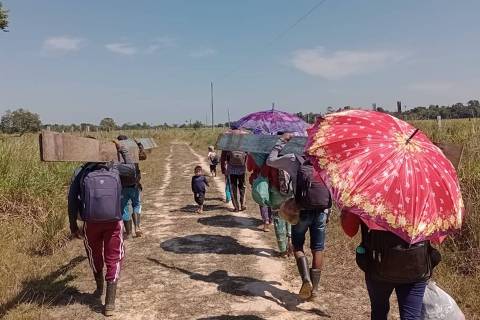 9 em cada 10 terras indígenas da Amazônia enfrentam seca, com falta de alimentos e água