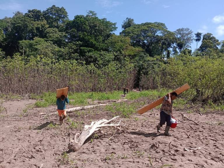 A imagem mostra duas pessoas carregando tábuas de madeira em uma área de terra seca, com vegetação densa ao fundo. O céu está claro e há algumas nuvens. O ambiente parece ser uma floresta ou área rural.