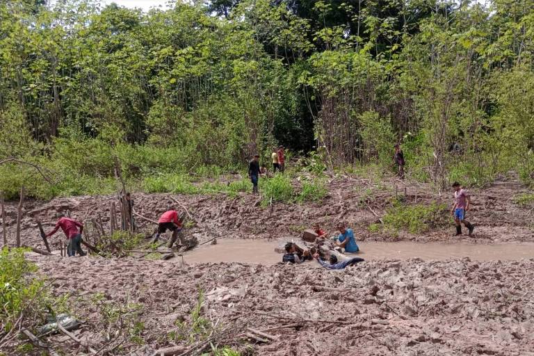 A imagem mostra várias pessoas trabalhando em uma área rural. Algumas estão em um terreno seco, enquanto outras estão mais ao fundo, cercadas por vegetação. O ambiente é predominantemente natural, com árvores e arbustos ao redor. O solo parece estar preparado para cultivo, mas ainda não há plantas visíveis.