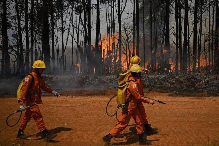 Homens que trabalham para conter incêndios florestais caminhando ao lado de mata pegando fogo