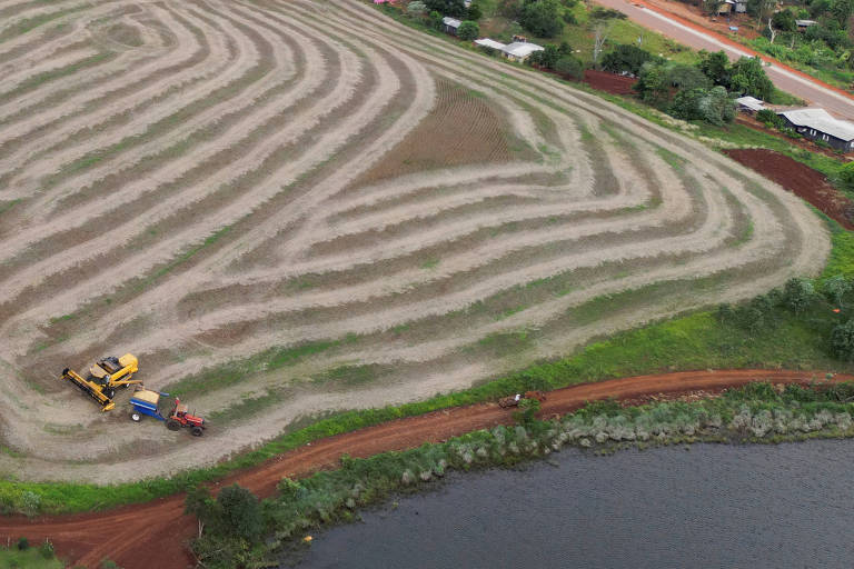 Imagem feita por drone mostra plantação de soja ilegal na reserva indígena Nonoai, no Rio Grande do Sul