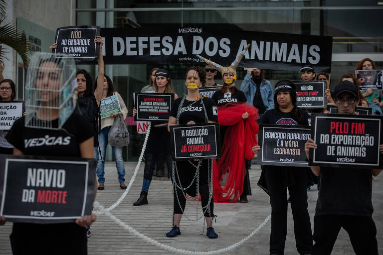 Manifestantes em protesto a favor da aprovação da PL 31/2018, que proibe o transporte e a exportação de animais vivos