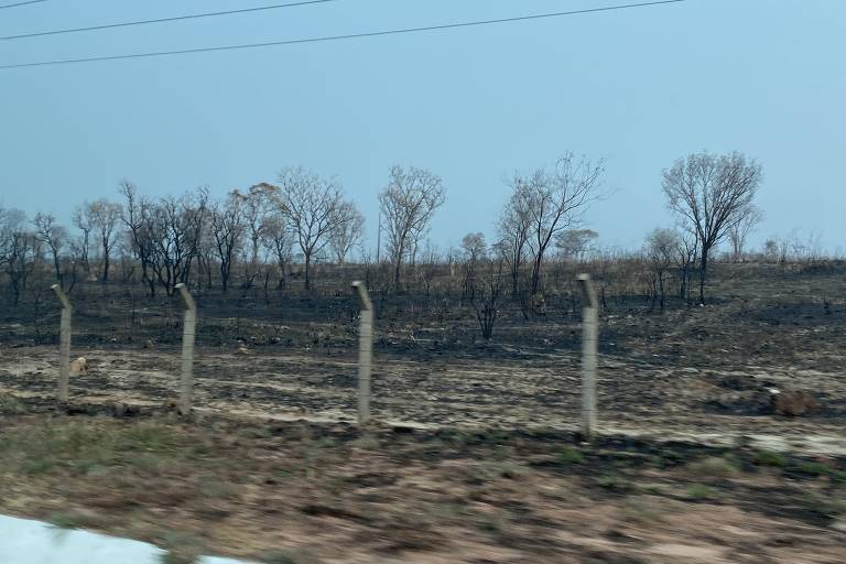 Estrada que liga Cuiabá à Chapada dos Guimarães, com vegetação totalmente queimada