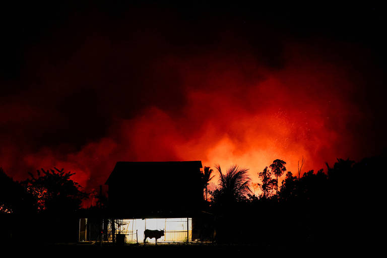 Imagem noturna de casa com luz acesa na varanda e chamas na floresta ao fundo