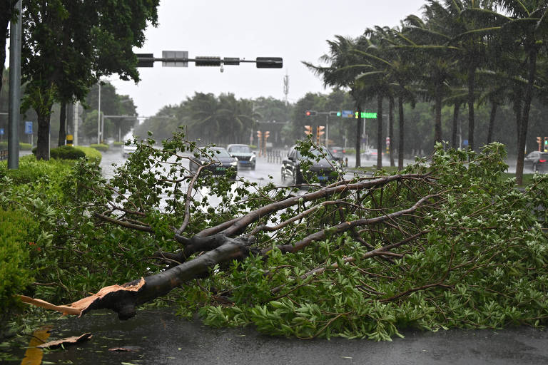 Uma árvore caída ocupa a pista de uma estrada durante uma tempestade. O céu está nublado e chuvoso, e há sinais de trânsito visíveis ao fundo. Veículos estão parados na estrada, e palmeiras estão visíveis nas laterais.