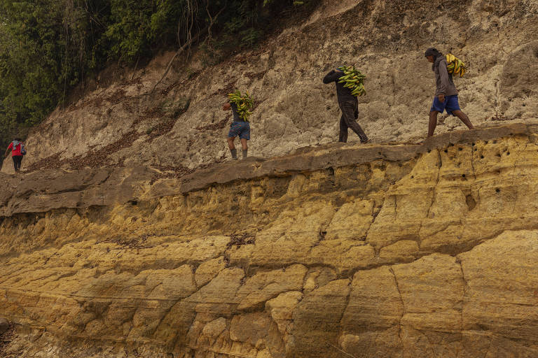 Quatro pessoas caminham em uma barranco de terra levando cachos de banana