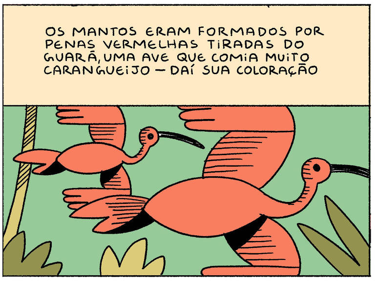 A imagem apresenta um texto que explica que os mantos eram formados por penas vermelhas tiradas do Guará, uma ave que se alimenta de caranguejo, o que explica sua coloração. Abaixo do texto, há ilustrações de aves Guará em um ambiente natural, com vegetação ao redor.