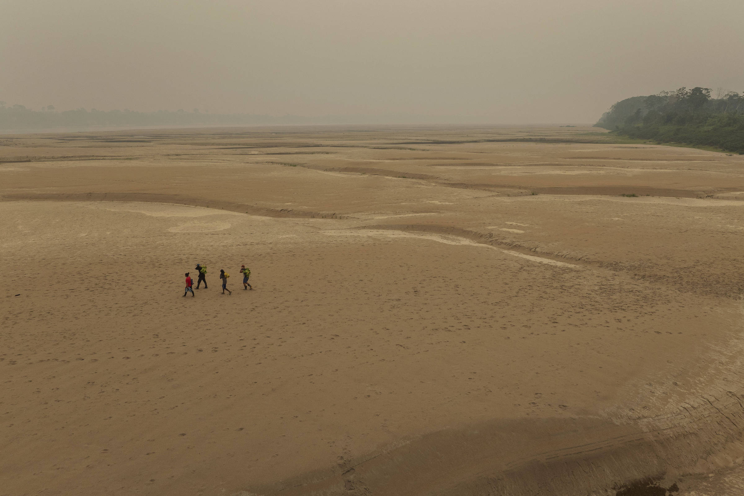 Folha leva dois prêmios de jornalismo do Impa e uma menção honrosa
