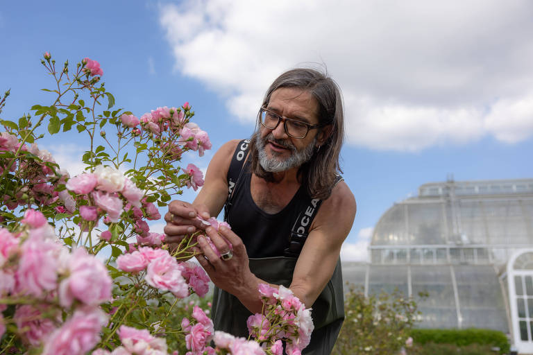 Um homem com cabelo longo e barba, usando uma camiseta sem mangas, está cuidando de um arbusto de rosas cor-de-rosa em um jardim. Ao fundo, há uma estufa grande sob um céu parcialmente nublado.