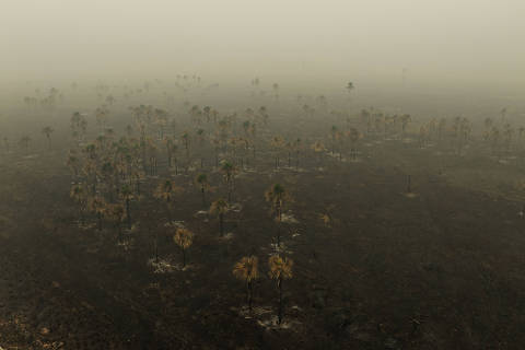 Entenda em mapas a evolução dos incêndios no Brasil nos últimos meses