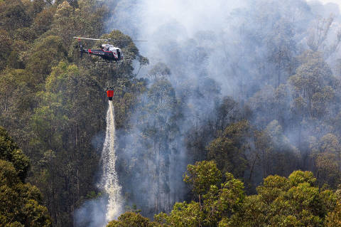 SP tem dez cidades com focos ativos de incêndios nesta terça (10)