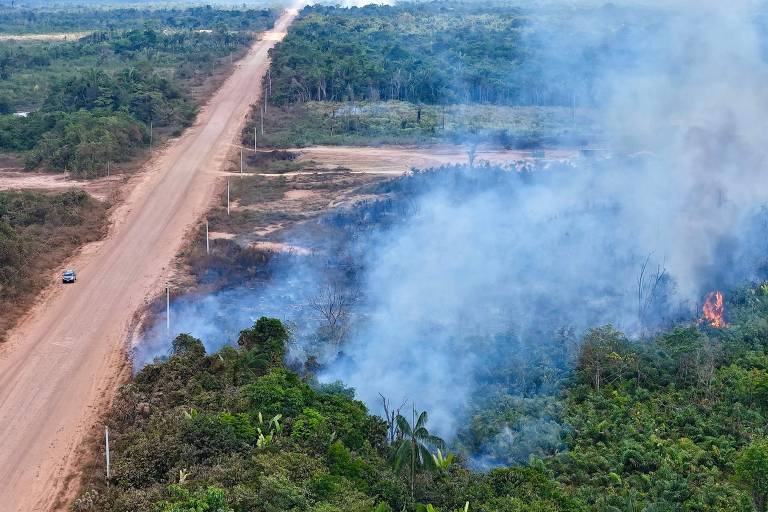 A imagem mostra uma área de floresta em chamas, com fumaça se espalhando pelo ar. À esquerda, há uma estrada de terra e um carro visível. A vegetação ao redor é densa, com árvores e plantas, e a fumaça é predominantemente azulada, indicando a presença de fogo. O cenário é de desmatamento e incêndio florestal.
