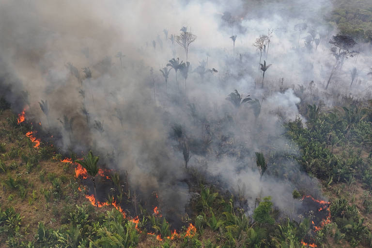 A imagem mostra uma área de floresta em chamas, com fumaça densa se espalhando pelo ar. As chamas são visíveis em várias partes do solo, cercadas por vegetação verde. O cenário é de destruição, com árvores e plantas sendo consumidas pelo fogo.